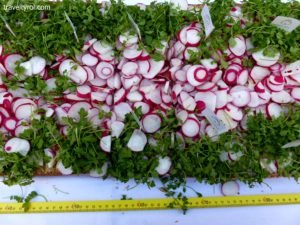 World record radish sandwich in Hall in Tirol.