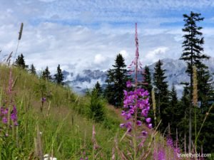 View at Muttereralm near Innsbruck.
