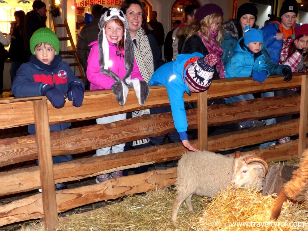 Animal petting zoo Hall in Tirol Christmas market.