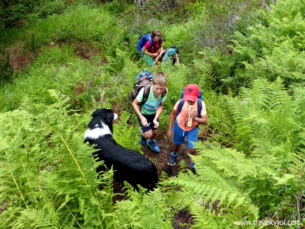 Wilde Wasser Weg hiking trail in Austria.