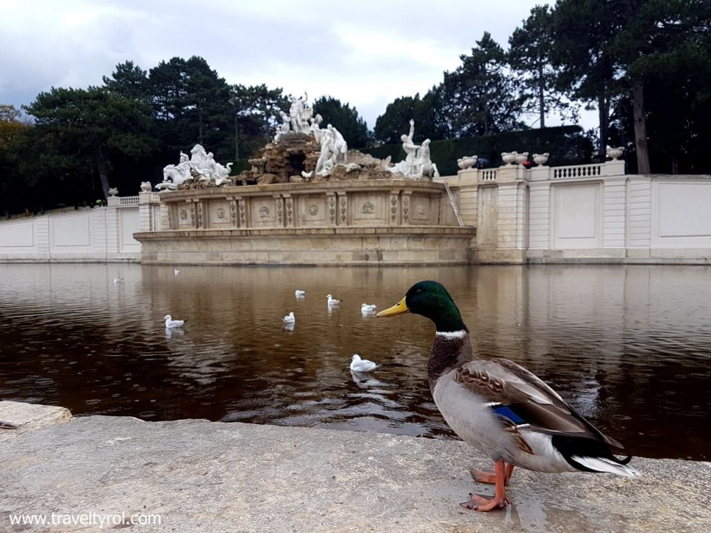 Neptune Fountain Schönbrunn Palace. © Travel Tyrol