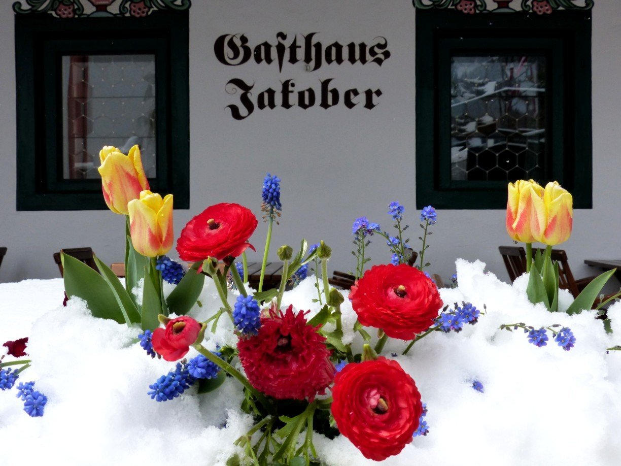 Gasthaus Jakober Alpbach
