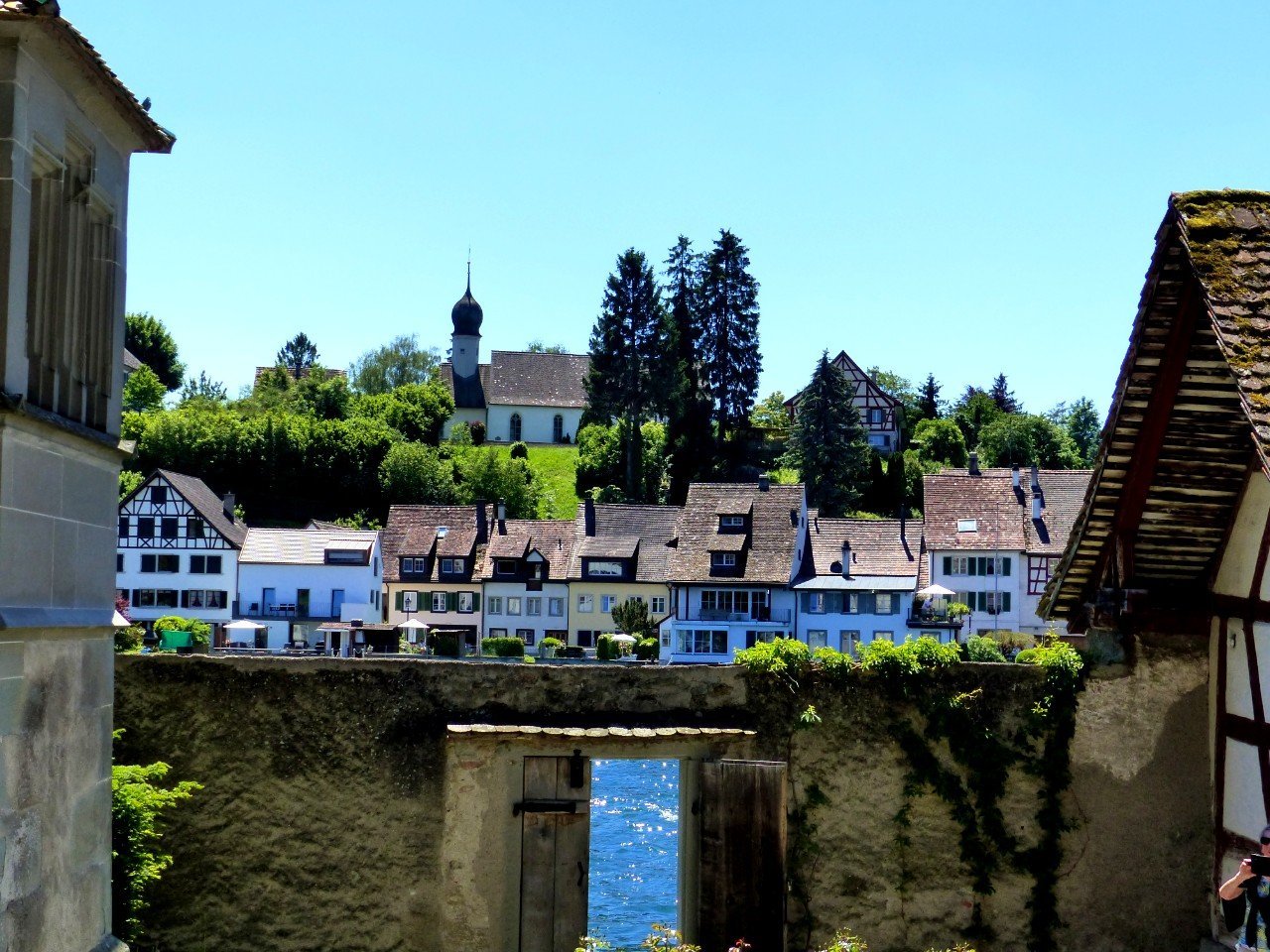 View from St George's Abbey over the Rhine.