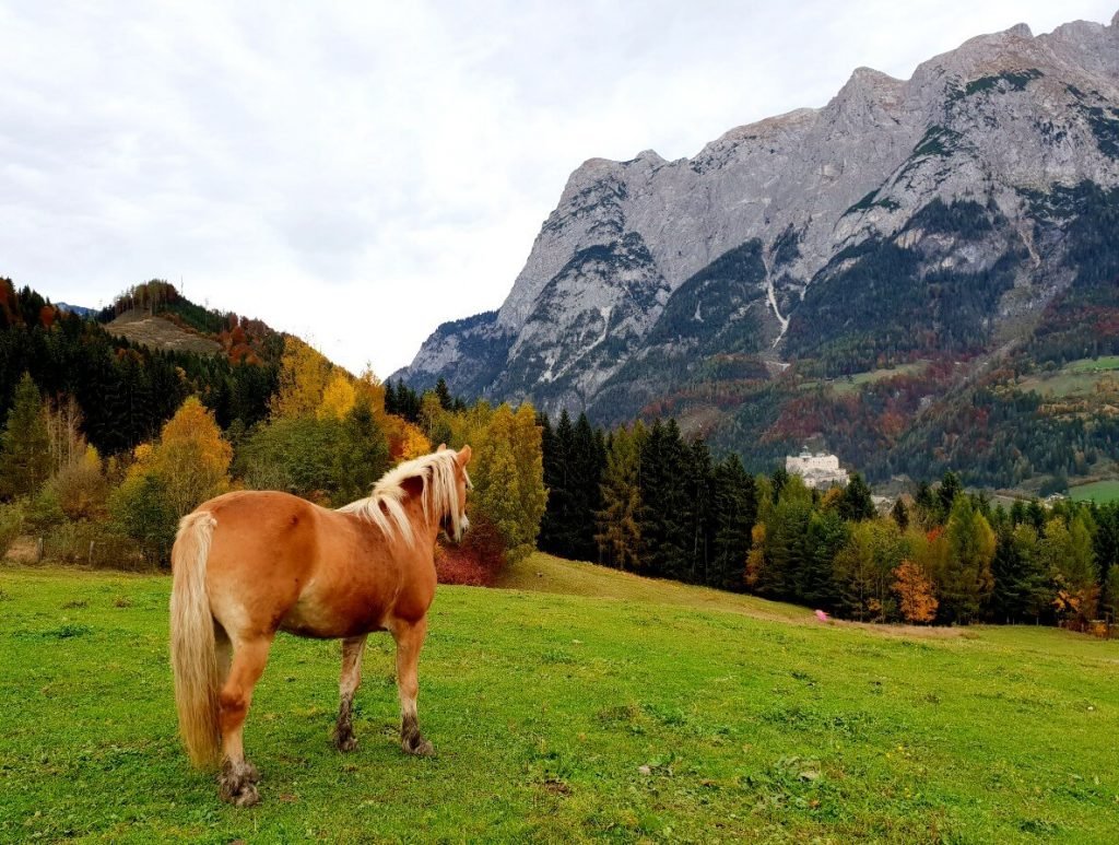 Hohenwerfen Castle from a hill.
