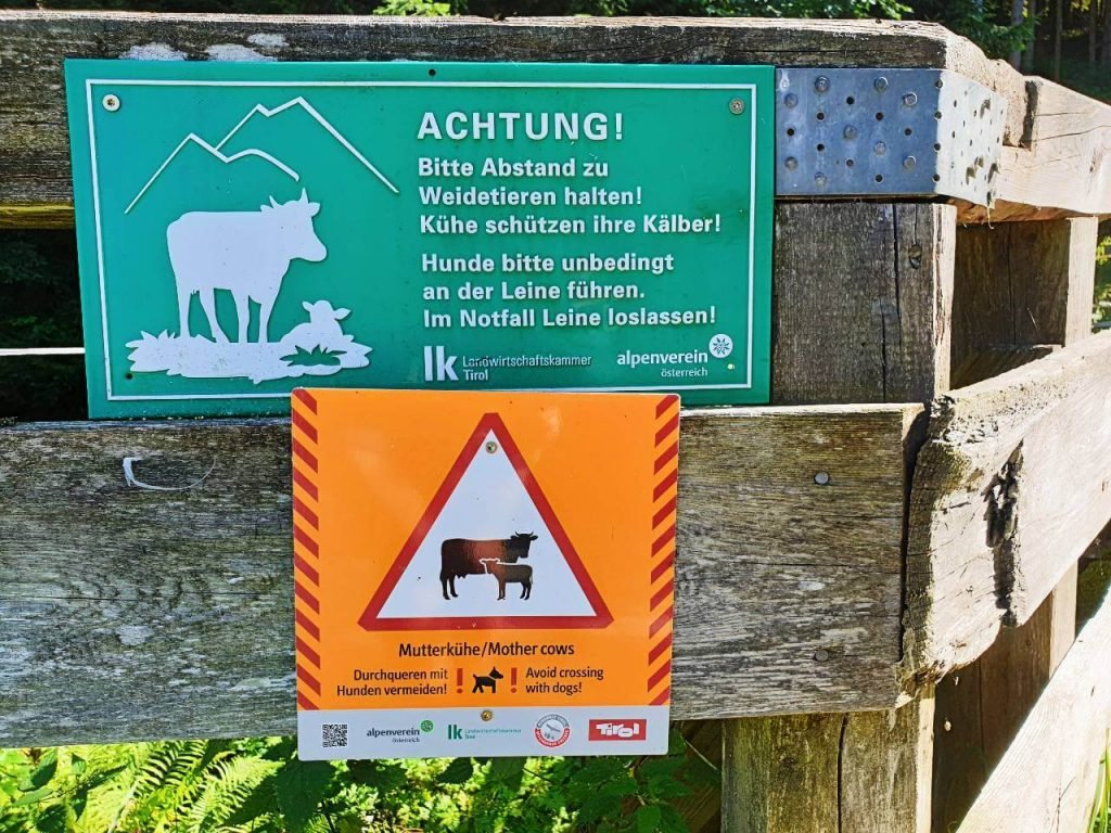 Cow warning sign in the Austrian Alps.