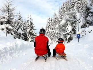 Sledding in Tyrol